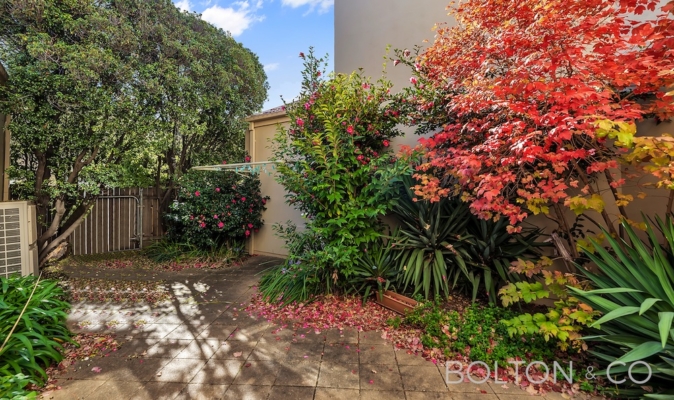 5/6 Towns Crescent, Turner, ACT 2612