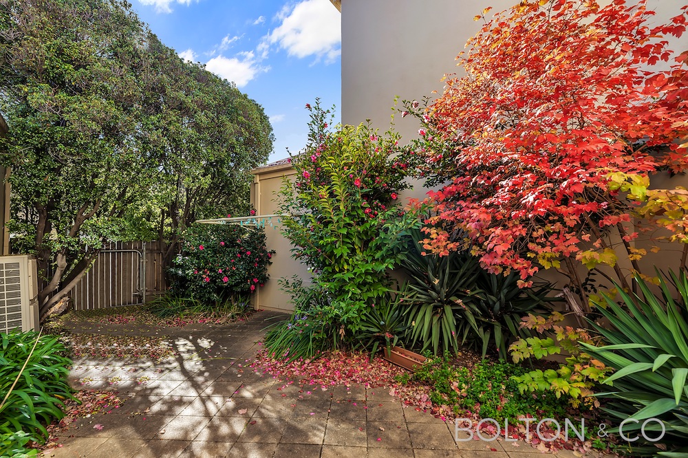 5/6 Towns Crescent, Turner, ACT 2612