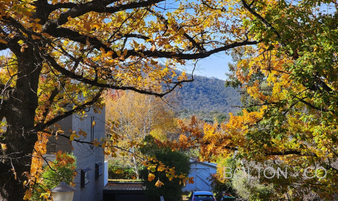 45/19 Ijong Street, Braddon, ACT 2612